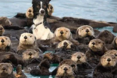 someone out of place