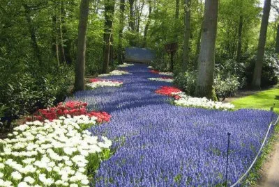 פאזל של scenery