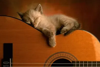canciÃ³n de cuna