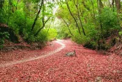 Yerba Buena. TucumÃ¡n. Argentina