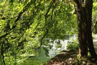 פאזל של gorges de l 'Areuse