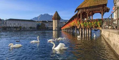 Natureza jigsaw puzzle