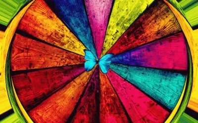 פאזל של Colored Circle