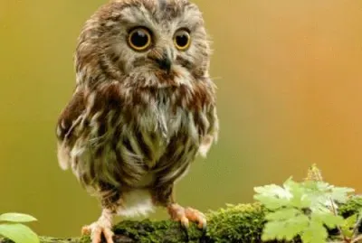 july20 jigsaw puzzle