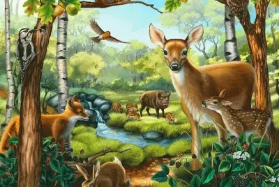 animais