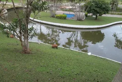 Parque em Ãguas de LindÃ³ia - SP jigsaw puzzle