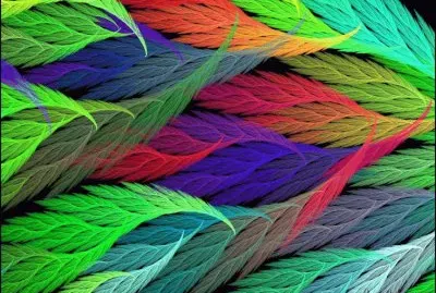 פאזל של Sixteen