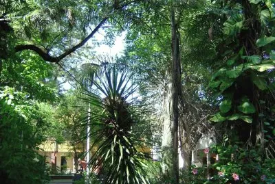 En San Miguel del TucumÃ¡n. Argentina