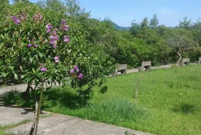 Quaresmeira jigsaw puzzle