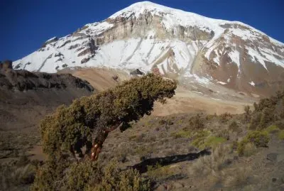 PN Sajama. Oruro. Bolivia