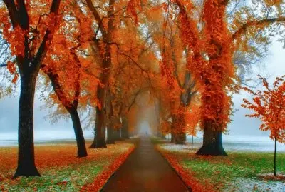 NÂº 1234 jigsaw puzzle