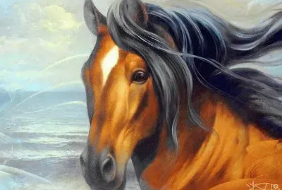elegancia equina