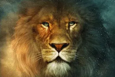 Mi leÃ³n preferido