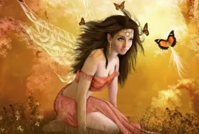 Magia de las mariposas