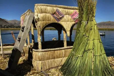 Uro del Titicaca. PerÃº
