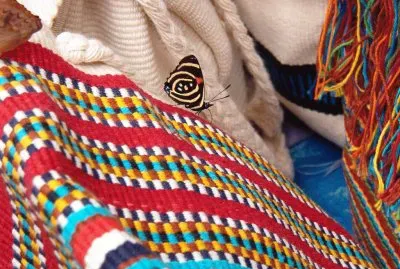 פאזל של Cerca de las Cataratas. Misiones. Argentina