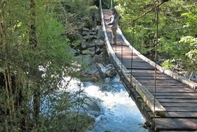 Cerca de Puerto Blest. Provincia de RÃ­o Negro. Argentina