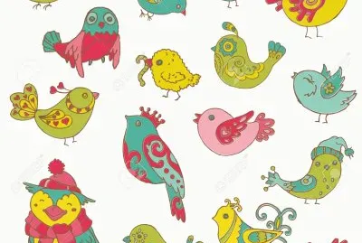 pajaros