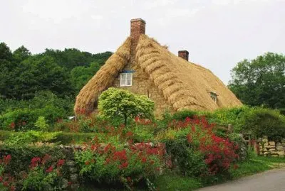 Natureza