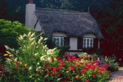 NÂº 1244 jigsaw puzzle