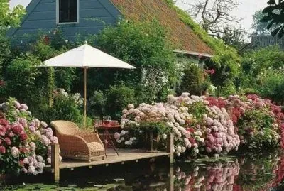 NÂº 1246 jigsaw puzzle