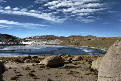 Laguna Negra. Bolivia
