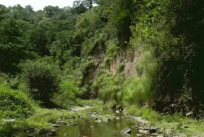 פאזל של Cerro San Javier. TucumÃ¡n. Argentina