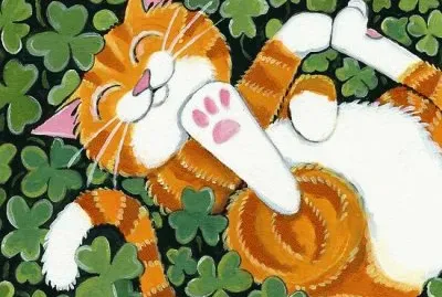 Gatos