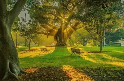 205 jigsaw puzzle