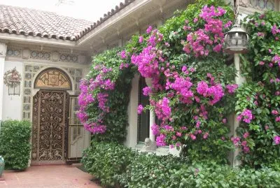 Natureza jigsaw puzzle