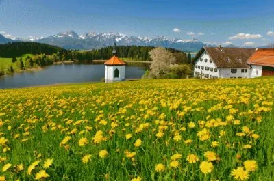 פאזל של Natureza