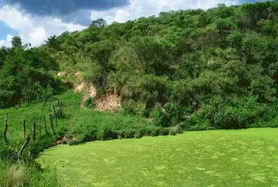 Laguna Santa Rita. Catamarca. Argentina