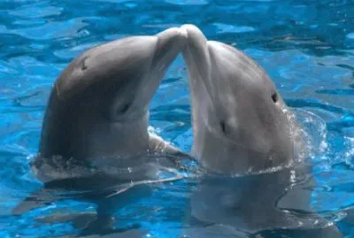 EL BESO MÃS DULCE ES EL NUESTRO