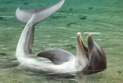 QUÃ‰ TAL EH, MÃRENME