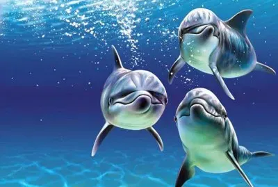 PASEANDO CON MIS HERMANITOS