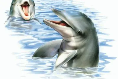 DIBUJOS ANIMADOS