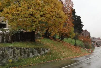 automne