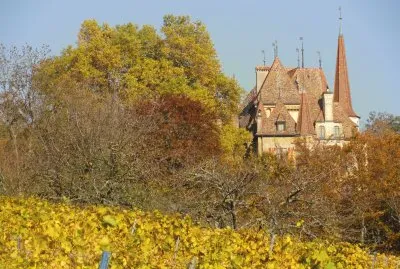 chÃ¢teau de Gorgier en automne
