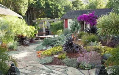 jardÃ­n jigsaw puzzle