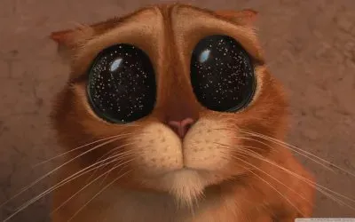 פאזל של puss in boots