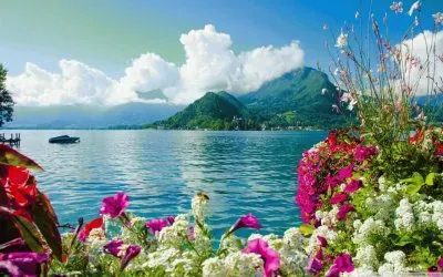 פאזל של island