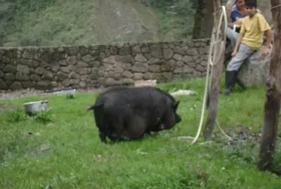 פאזל של pasaje