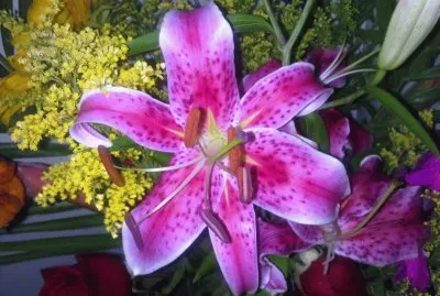 Arranjo de Flores jigsaw puzzle