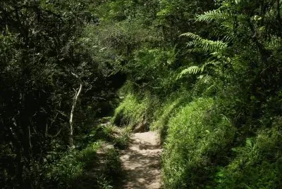 Cerro San Javier. TucumÃ¡n. Argentina