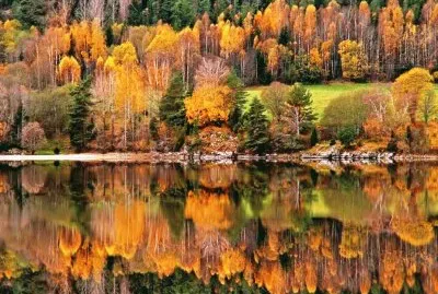 autumn-94