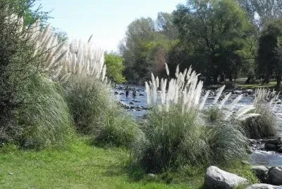 En Calamuchita. CÃ³rdoba. Argentina
