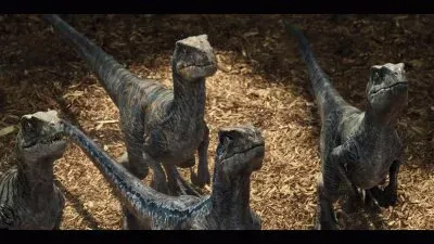 Raptor Squad
