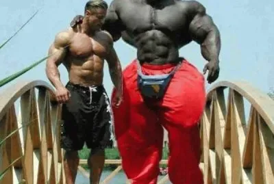 general jigsaw puzzle