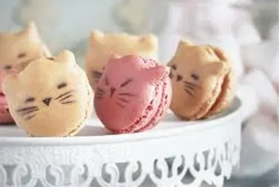 macaron