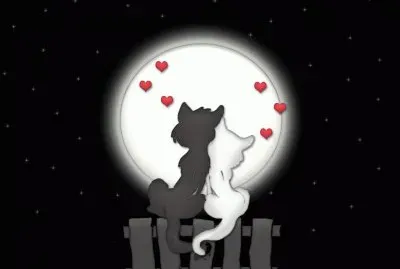 amore